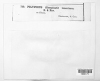 Image Associated With the Occurence
